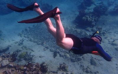 Formation « Jardinier du Corail »                                              en Guadeloupe – Saintes, 11-25 février 2022