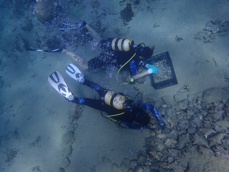 Ocean Quest Guadeloupe 2021 (2)