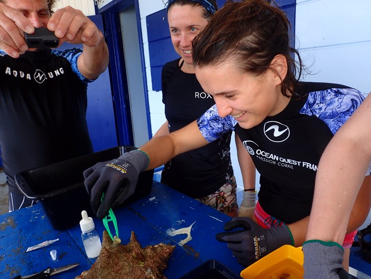 Ocean Quest Guadeloupe 2021 (4)
