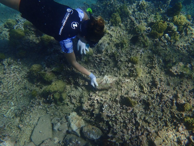 Ocean Quest Guadeloupe 2021 (6)