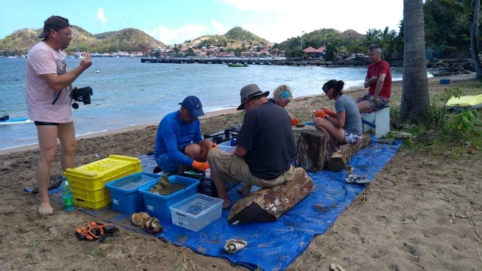 Bubbles&More_#Mission corail_Les Saintes_Février 2022 (569)